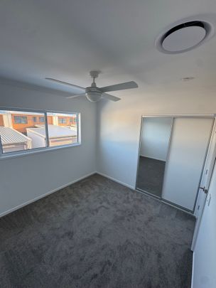 Palmview - Photo 1