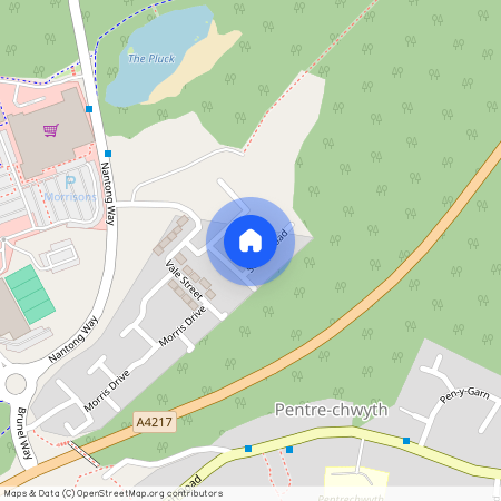Scotts Road, Pentrechwyth, Swansea, SA1 7GD