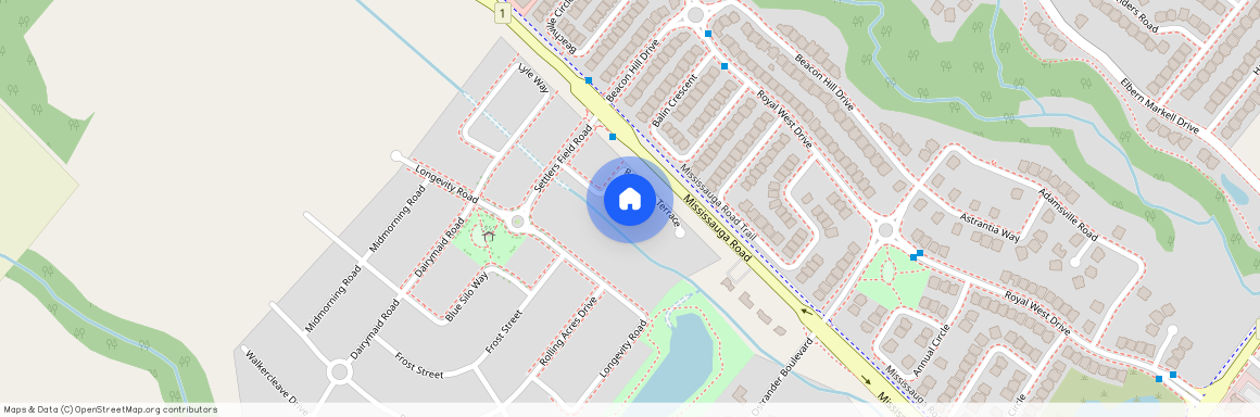 19 Raindrop Terrace, Brampton