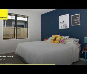 How about Hebe - Photo 1