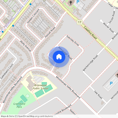 771 Eversley Drive Unit# BASEMENT, Mississauga