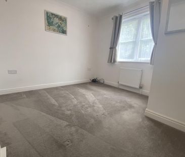 Tortoiseshell Way - Photo 1