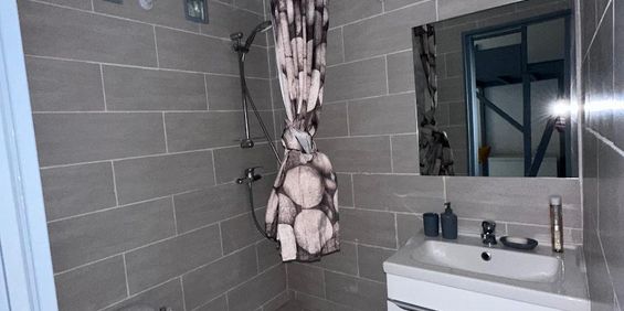 Location Appartement 1 pièce 15m² NICE 06000 - Photo 3