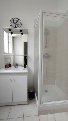 Location Appartement 1 pièce 18m² ORLEANS 45000 - Photo 4