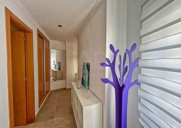 Alicante, Valencian Community 03710