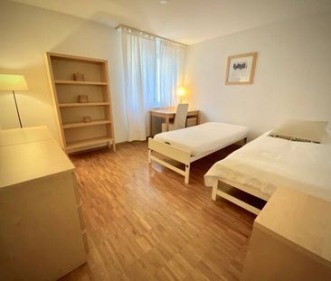 Avenue des Figuiers - Photo 5