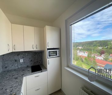 Pronájem bytu 1+1 37 m² - Photo 2