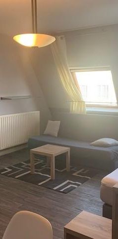 Location Appartement 1 pièce 36m² POITIERS 86000 - Photo 1