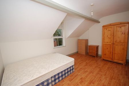 17 Mowhan Street, Lisburn Road, Belfast, BT9 7HJ - Photo 5