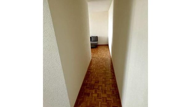 3 Zimmer-Wohnung in Grand-Lancy (GE), möbliert - Photo 1