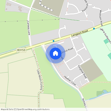 Buttercup Close, Somerton, Somerset, TA11