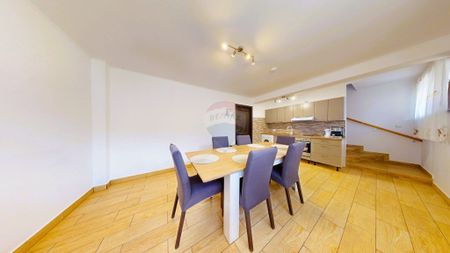 Comision 0 | Petfriendly | Stupini - Fotografie 2