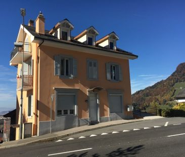 Habitat de 2.5 pièces au rez-de-chaussée - Foto 1