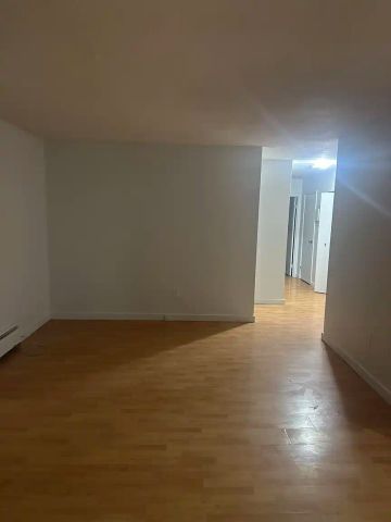 Shannon Gardens — Large 2 Bedroom Apartment - Photo 4