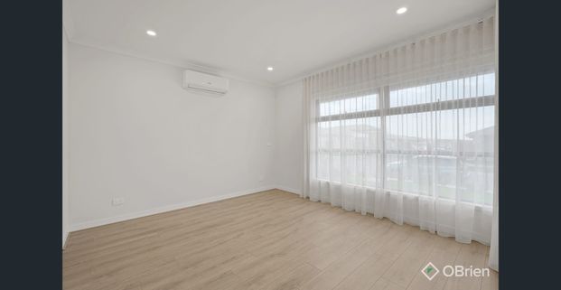 Don't Ignore-a Carora! - Photo 1