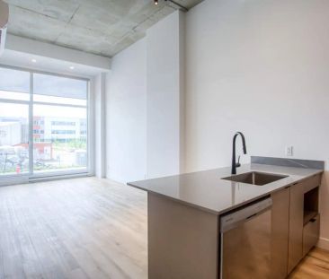 VIVRE 1 — One Bedroom A - Photo 2