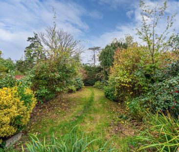 3 bedroom house to rent - Photo 5