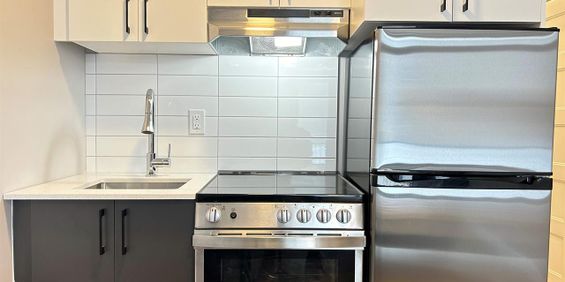 Studio - Montréal - $1,195 /mo - Photo 3