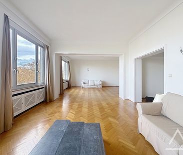 Louise 349 - Photo 5