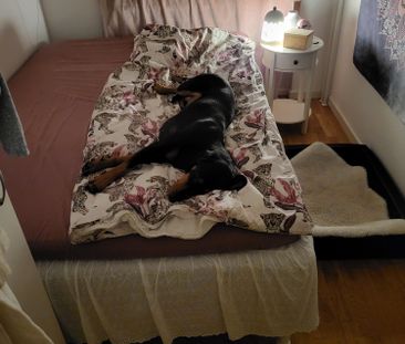 Örtagårdsvägen, Älvsjö - Photo 2