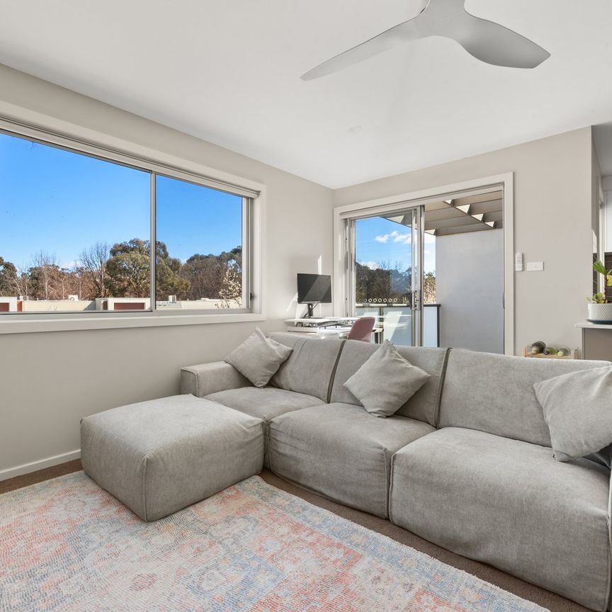 12/16 Berrigan Crescent, O'Connor ACT 2602 - Apartment For Rent | Domain - Photo 1
