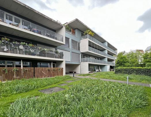 2.5 Zimmer Wohnung - Foto 1