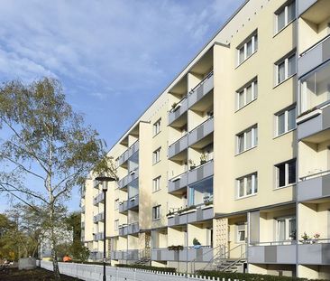 3-Raum-Wohnung Südstadtring 85 - Photo 5