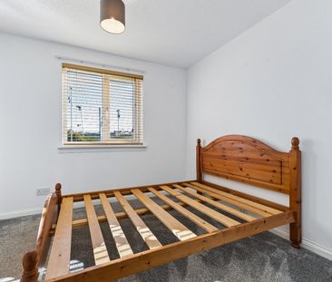 Muirhead Avenue - Photo 3