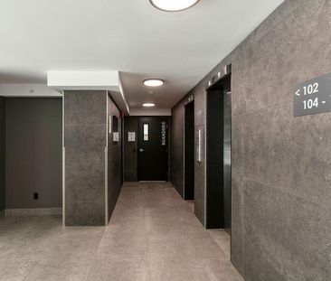 3605 Rue Saint-Urbain, Montréal, QC - Photo 1