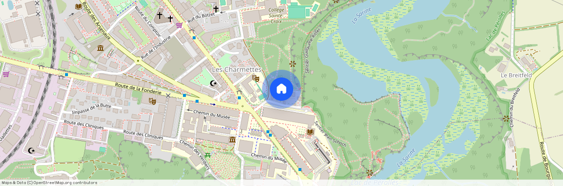 1700, Fribourg, Ch. Guillaume-Ritter, 3