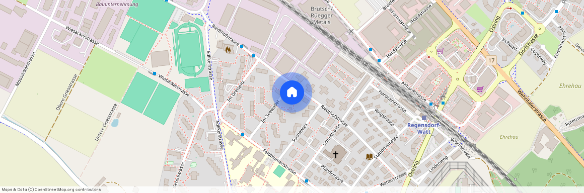 Im Seewadel 36, 8105 Regensdorf