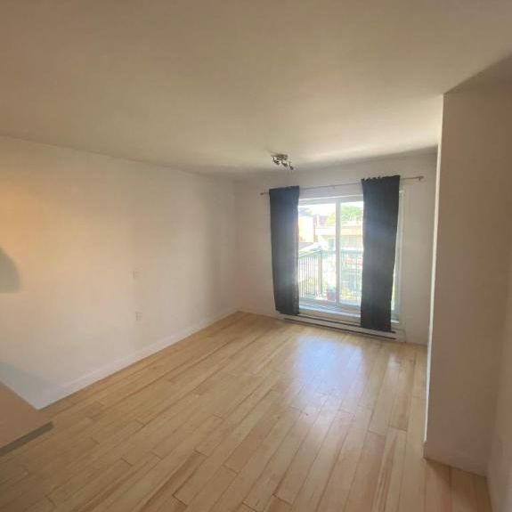 1 CH - 1 SDB - Montréal - $1,195 /mo - Photo 1