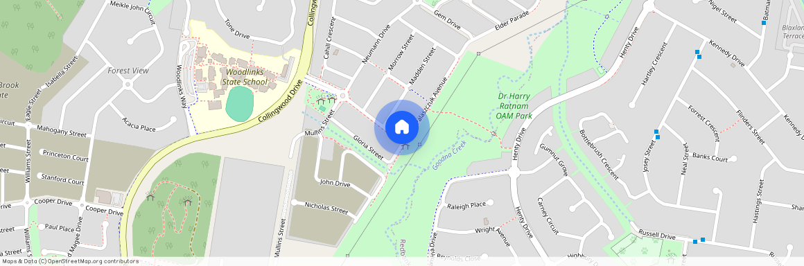 42 Palaszczuk Avenue, Collingwood Park QLD 4301