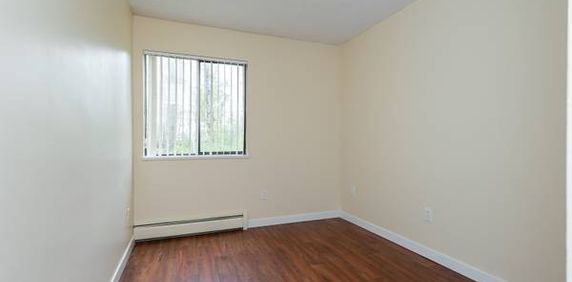 Bright and clean 1 bedroom apartment! - Photo 2