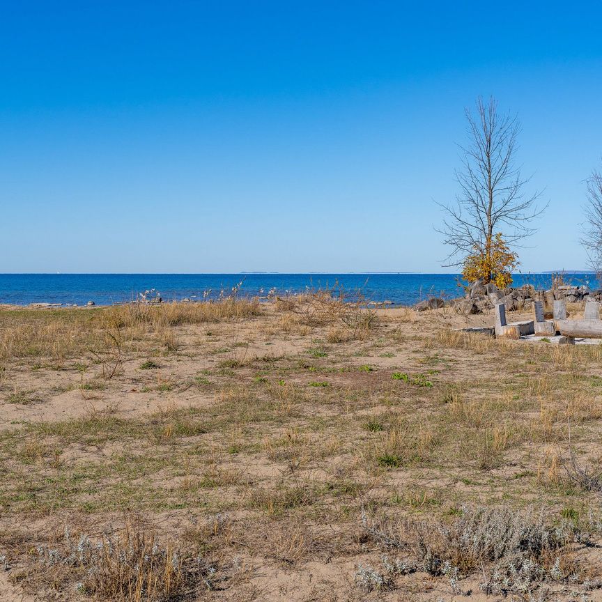 For Lease - 35 St. Clair Street, Collingwood, Ontario - Photo 1