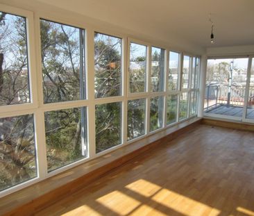 Freifläche auf zwei Terrassen mit Schönbrunnblick und Blick auf Ste... - Foto 6