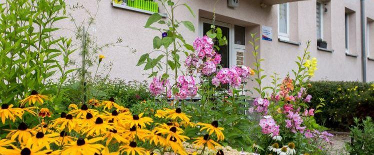 *NEU* 3-Raum-Whg. in ruhiger Lage in Altchemnitz aber trotzdem zentrumsnah! - Foto 1