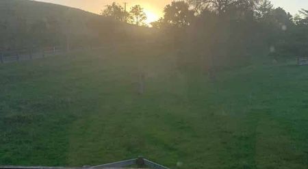 Sunny, rural views close to town - Photo 5