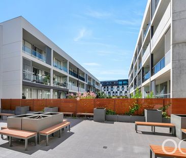 Open the Door To Modern, Low-Maintenance Living in Bowden - Photo 4