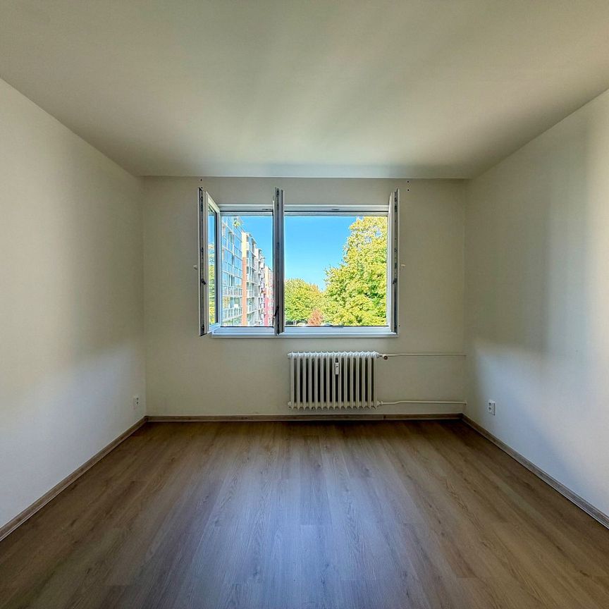 Pronájem bytu 2+1 58 m² - Photo 1