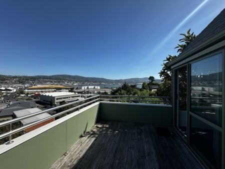 Belmont Lane - one of the best kept secrets! - Photo 5