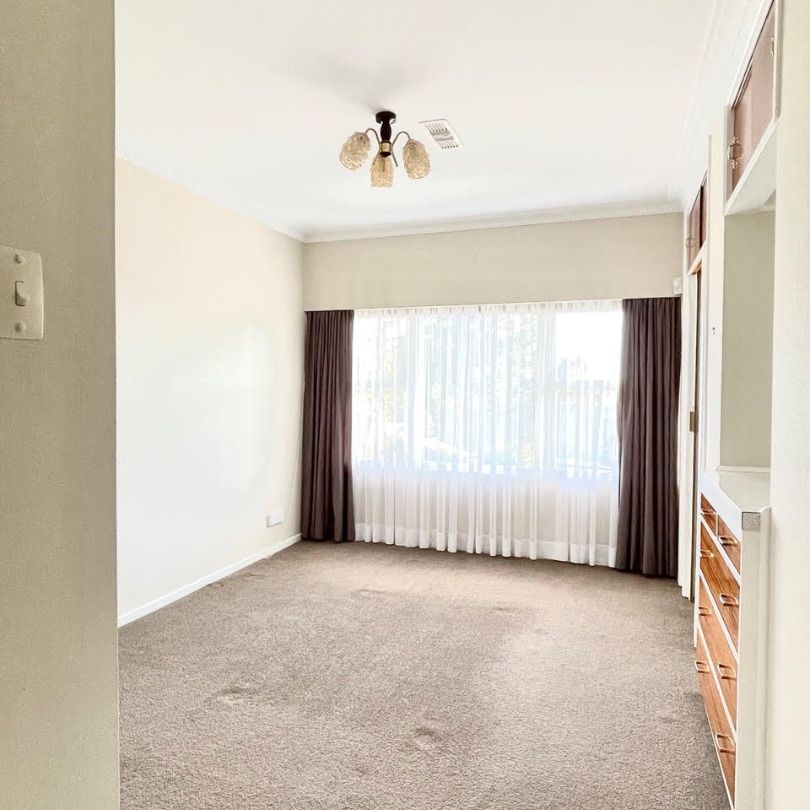 When New Lynn meets Grey Lynn! - Photo 1