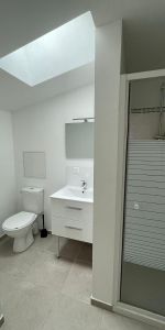 Location Appartement 1 pièce 23m² BORDEAUX 33800 - Photo 3