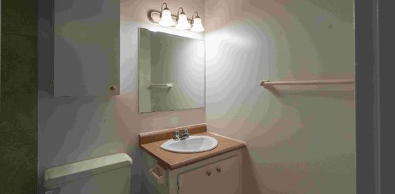 1 CH - 1 SDB - Gatineau - $1,245 /mo - Photo 2