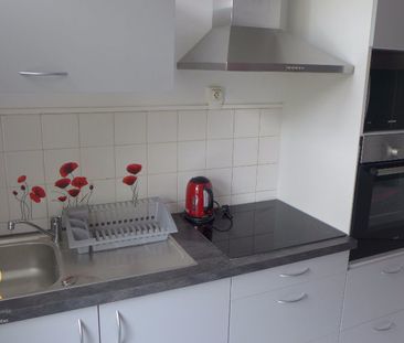 Location Appartement 1 pièce 75m² RENNES 35000 - Photo 4