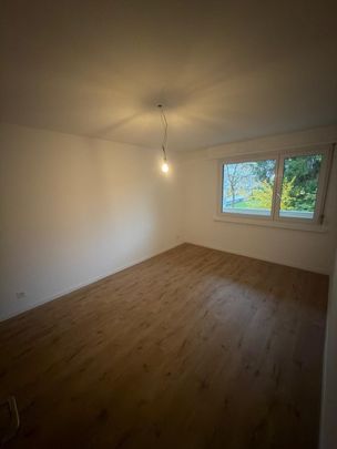 Rent a 3 rooms apartment in Hinwil - Foto 1