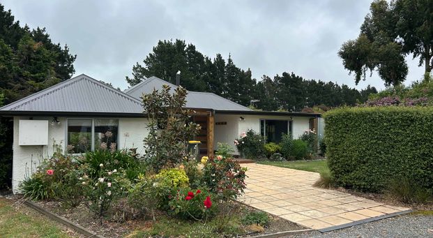 Lifestyle Property - Photo 1