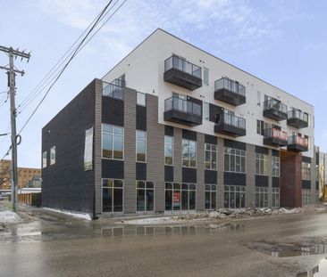 York: Black Accents – 710 Westminster - Photo 6