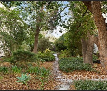 City Living with Parkland Views - Photo 2