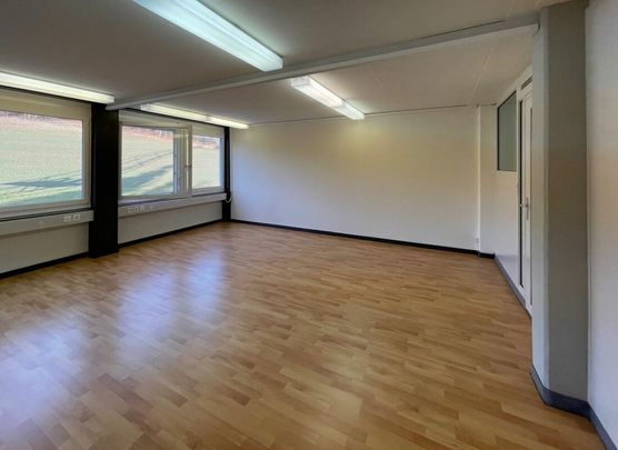 Lohwisstrasse 32, 8123 Ebmatingen - Foto 1